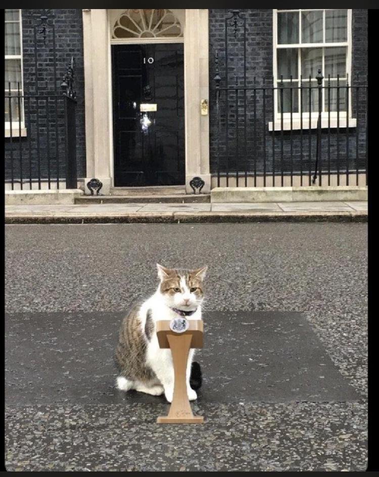 Larry the cat