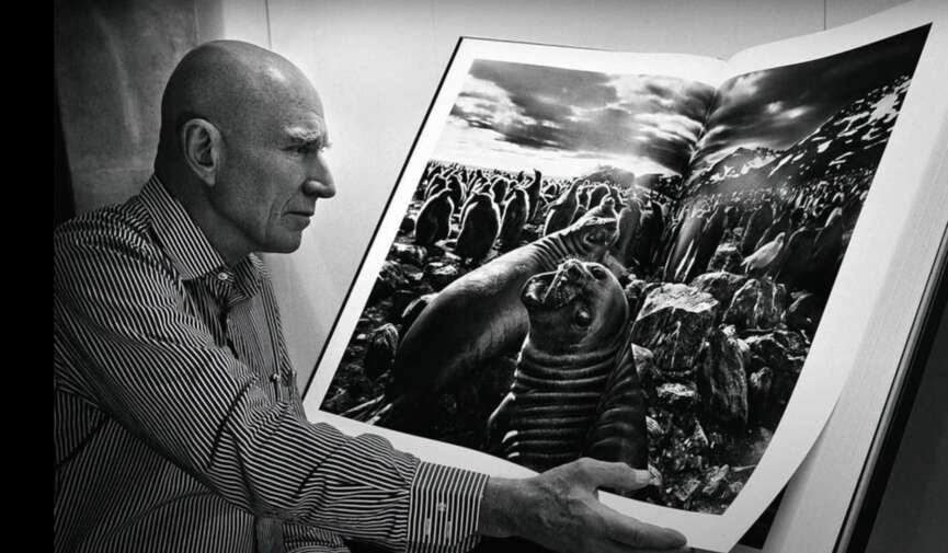 The Witness and the Wound: Seeing with Sebastião Salgado 